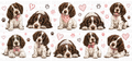 Springer Spaniel UVDTF Wrap