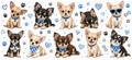Chihuahua Dog Blue UVDTF Wrap