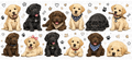 Labrador UVDTF Wrap