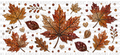 Autumn Crispy Leaves UVDTF Wrap