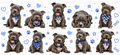 Staffy Dog Blue UVDTF Wrap