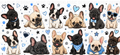 Frenchie Blue UVDTF Wrap