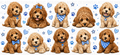 Cockapoo Dog Boy UVDTF Wrap