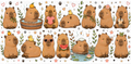 Capybara UVDTF Wrap