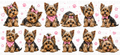 Yorkshire Terrier Girl UVDTF Wrap