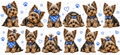 Yorkshire Terrier Dog Blue UVDTF Wrap