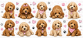 Cockapoo Dog Girl UVDTF wrap