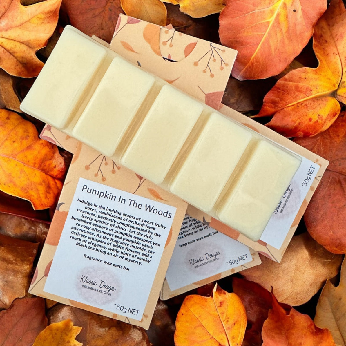 Pumpkin in the Woods