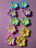 Hibiscus Flowers