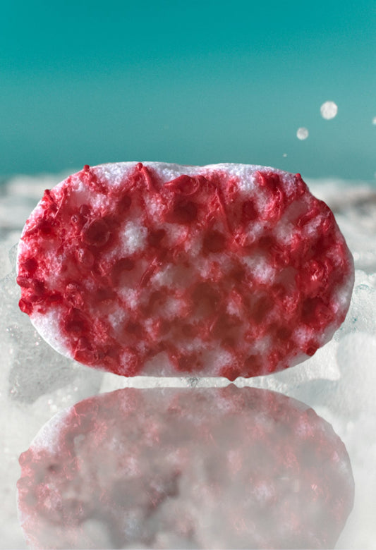 Rouge Soap Sponge