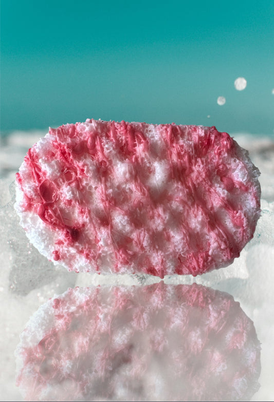 A Touch of Pink Soap Sponge