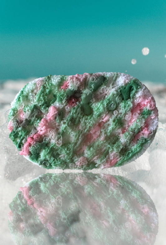 Watermelon Bliss Soap Sponge