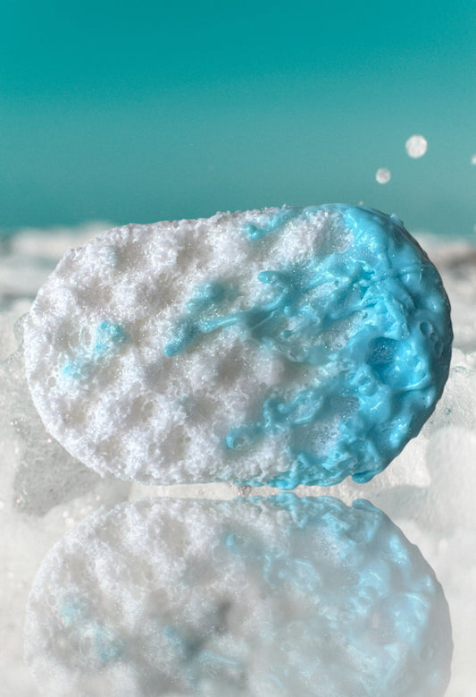 Frosty Fairy Soap Sponge