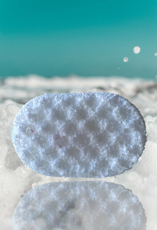 Soft Snuggles soap Sponge